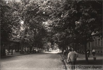 Пушкинская,
1967 год.
фото - Андрея Александровича Антонова
добавлено с - http://www.lifeisphoto.ru/photo.aspx?id=570860
