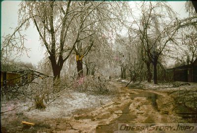 улица Бреуса
вид от Скворцова в начало
Оледенение 1975 года.
добавил - Trs
