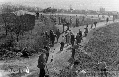 Малый Фонтан
1960-61 год
добавил - Jorjic
