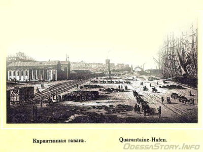 Каранинная гавань
