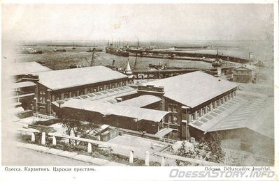 Карантинная гавань
