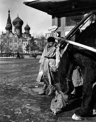 фото - Ludwig Schuster, 1943 год
 добавил - Малиновский
 с сайта - http://bpkgate.picturemaxx.com
