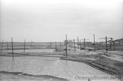 1943 год
фото - Willy Pragher
добавлено с - 
https://www2.landesarchiv-bw.de/ofs21/olf/struktur.php?bestand=20946
